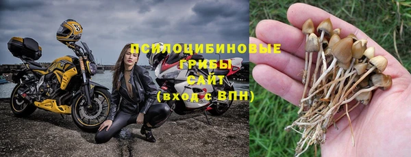 стафф Алексин