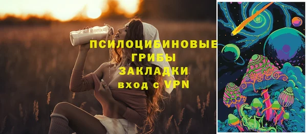 стафф Алексин