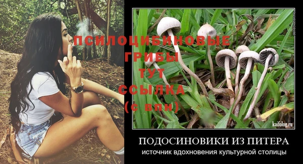 стафф Алексин